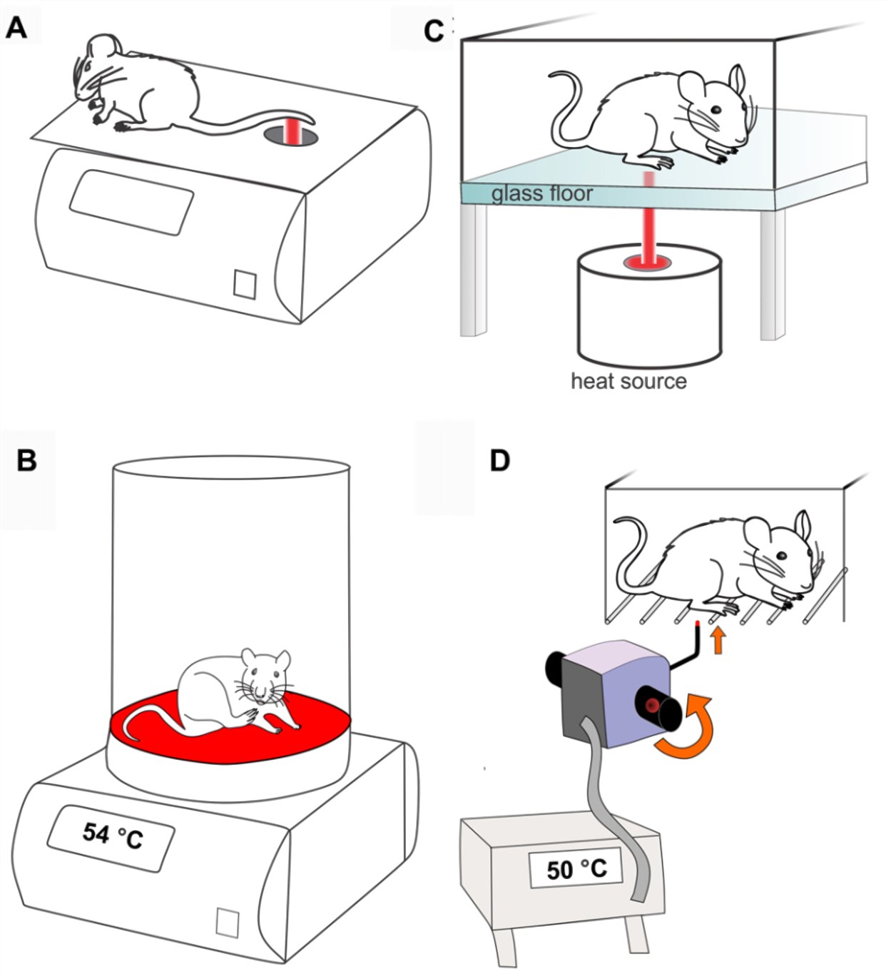 Fig. 1 Methods used to assess heat-evoked pain like behaviors in rodents. (A) Tail flick test (radiant heat). (B) Hot plate test. (C) Hargreaves test. (D) Thermal probe test. (Deuis et al. 2017)