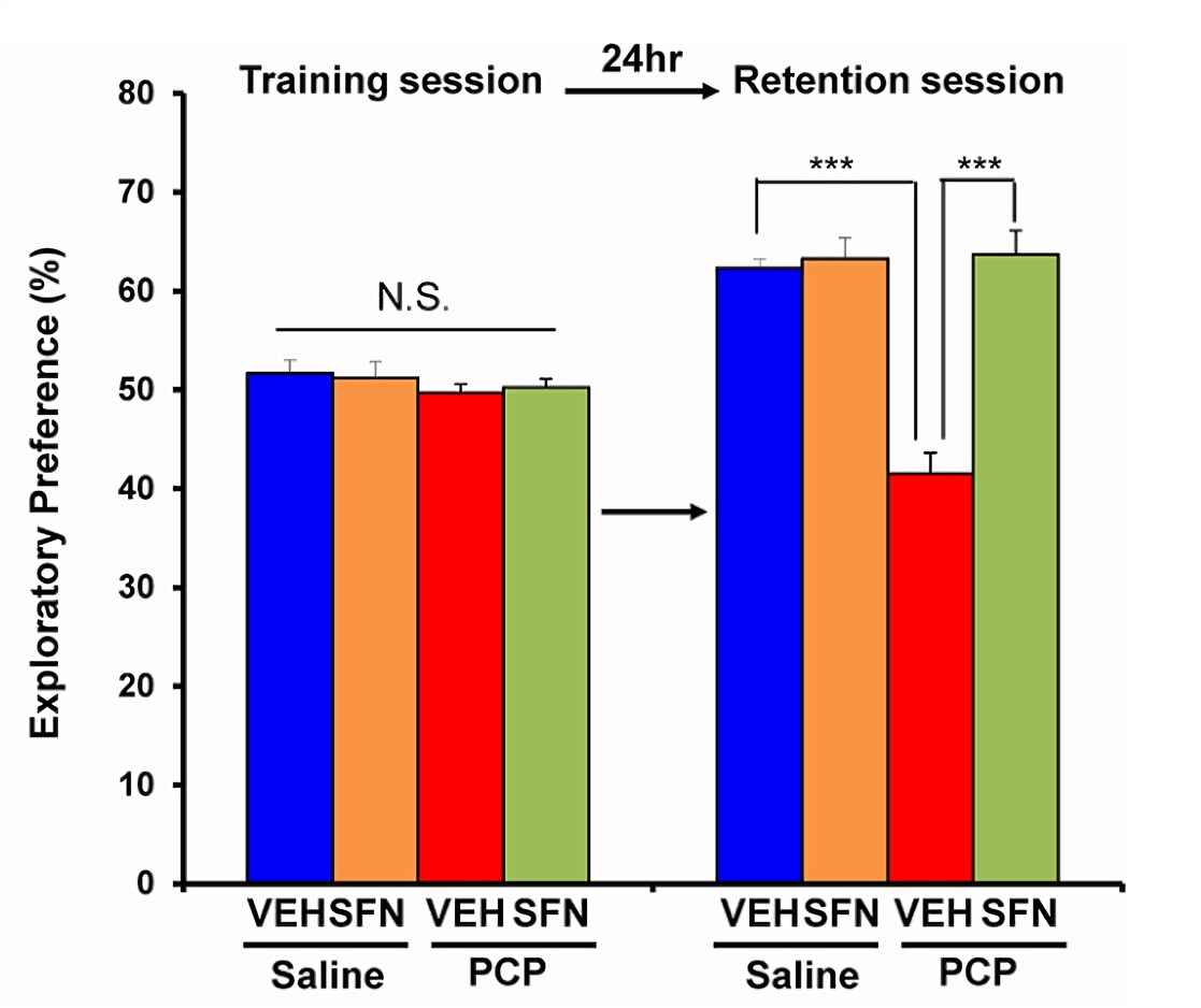 Fig.1 Pretreatment with SFN significantly attenuated PCP-induced cognitive deficit in mice in a novel object recognition test (NORT). (Shirai et al. 2015)