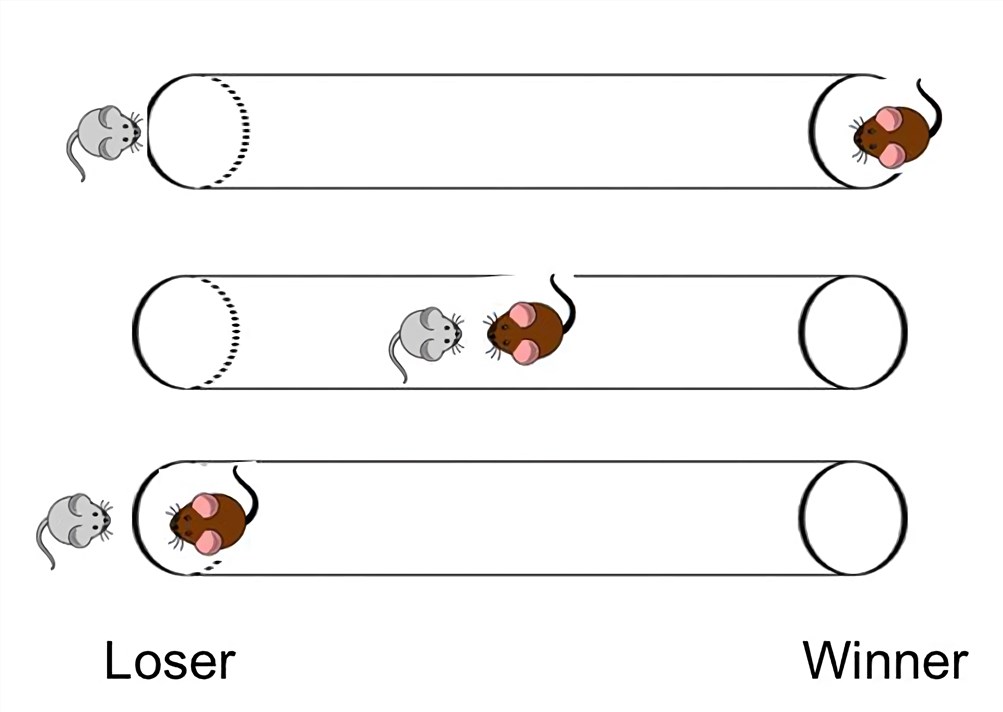 Fig. 2 Tube Test (Bicks et al. 2015)