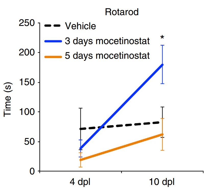 Fig.2 Quantification of motor function recovery by Rotarod test at 4 d and 10 d post lesion (dpl). (Valérie et al. 2017)