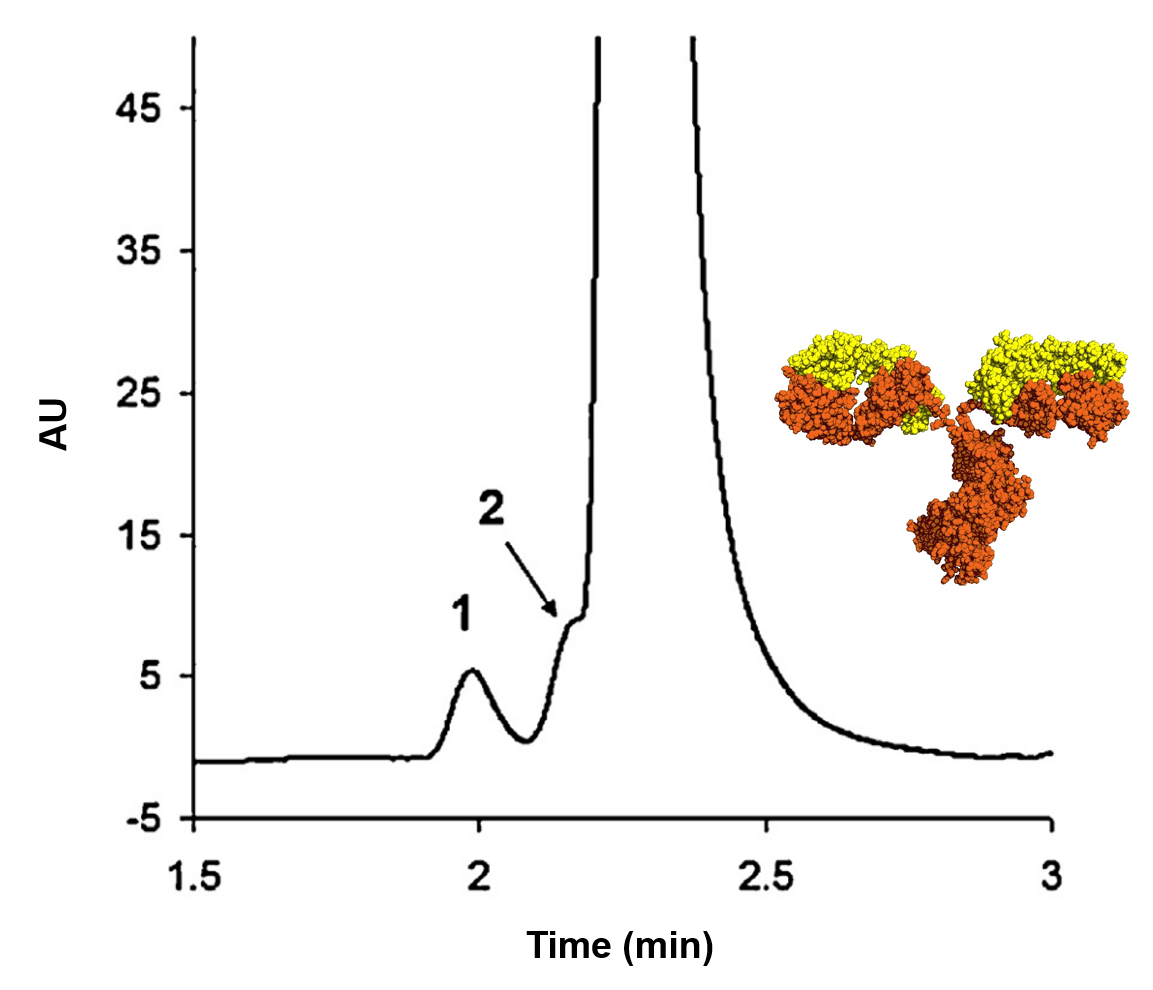 SEC analysis of panitumumab aggregates. Peaks 1 and 2 are aggregated forms of the native antibody. 