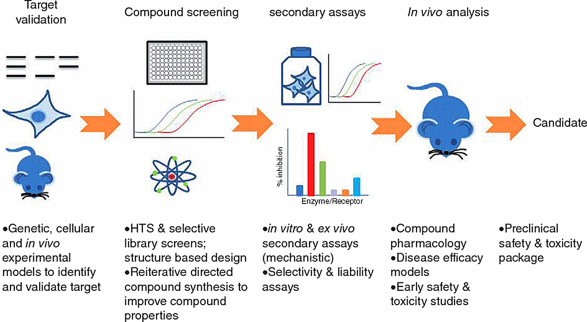 Overview of drug discovery screening assays.