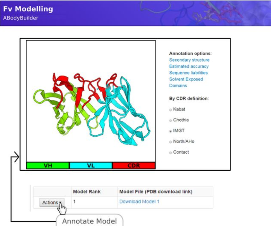 The ABodyBuilder tool is an automatic Fv modelling protocol.