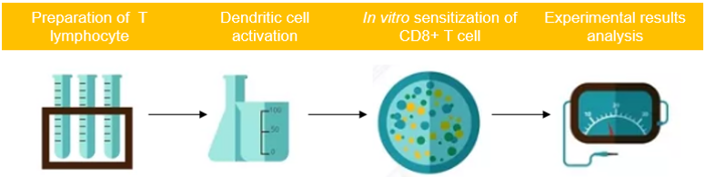 T-Cell Sensitization Experiments