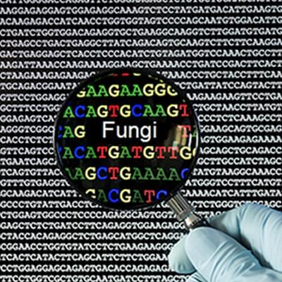 Whole Genome Sequencing (WGS)