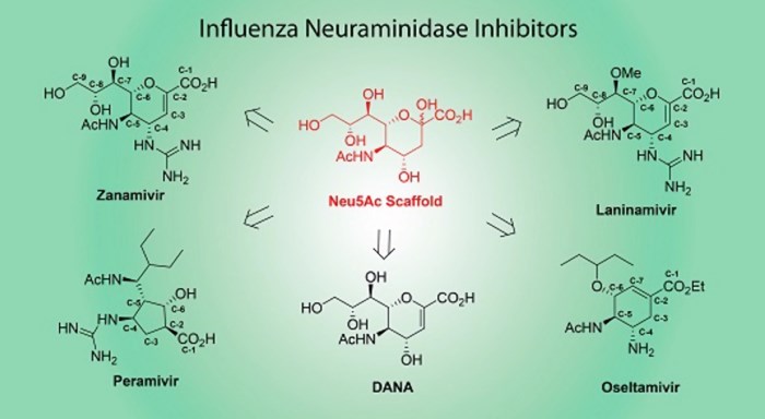 Fig.2 Influenza neuraminidase inhibitors’ structures. (Laborda, Su-Yan & Josef, 2016)
