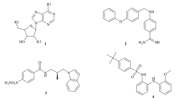 Examples of bioactive molecules identified by structure-based combinatorial docking 1, 2, 3 and ligand-based design 4.