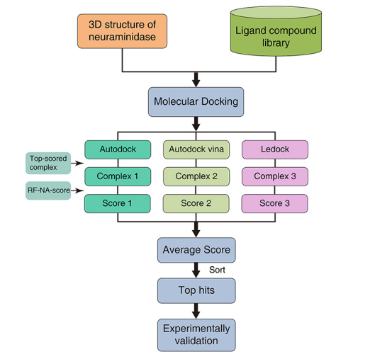Virtual screening strategy using molecular docking software and RF-NA-Score.