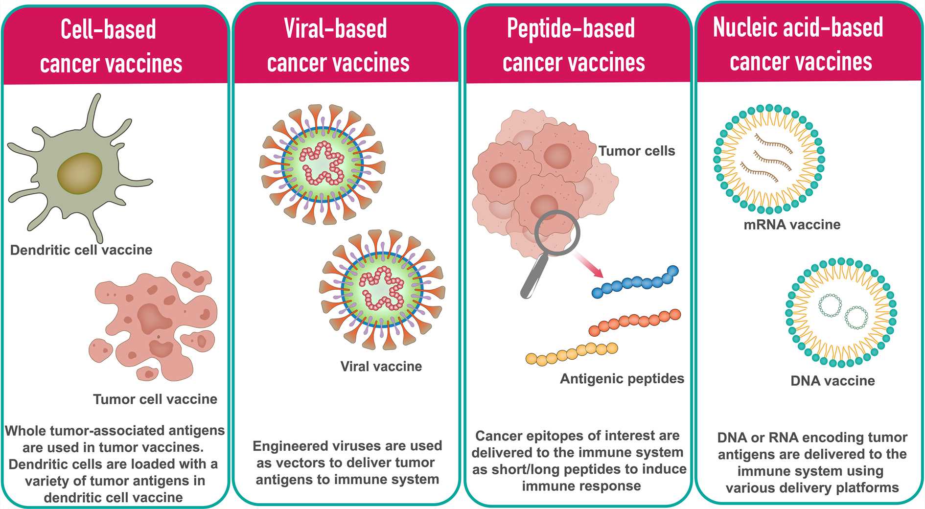 Different types of cancer vaccine platforms.