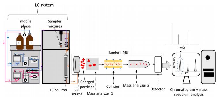 Fig.1 Principles of LC-MS/MS. (OA Literature)