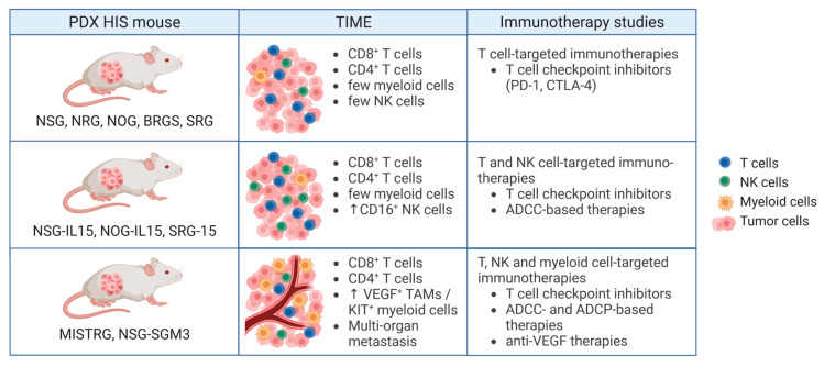 Fig.1 Investigating cancer immunotherapy in humanized PDX mouse models. (OA Literature)