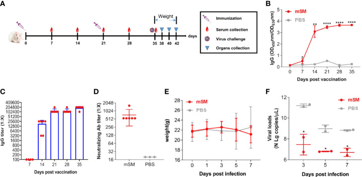 Fig.1 Humanized mouse evaluation of SARS-CoV-2 VLP immunogenicity. (OA Literature)