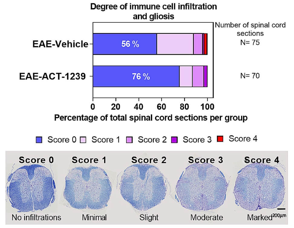 Fig. 1 Pictures of spinal cord sections from PLP-induced EAE model stained with Cresyl Violet and Luxol Fast Blue.