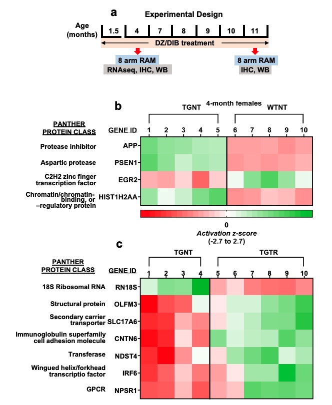 Fig. 1 Images of RNAseq heatmaps.