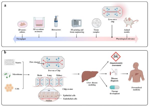Fig.1 Developing and applying liver-on-a-chip. (OA Literature)