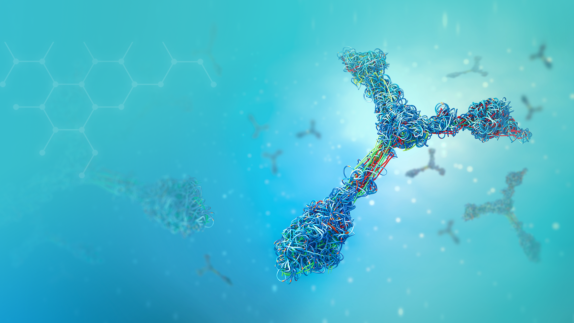 Portrait photography