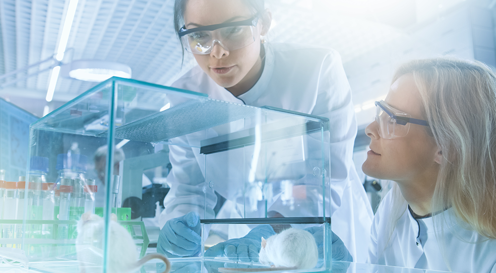 Pharmacodynamics Studies