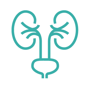 Urological System Disease Models