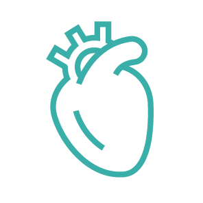 Cardiovascular Disease Models