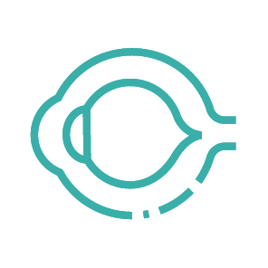 Ocular Disease Models