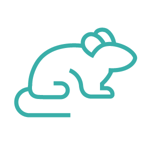 Humanized Mouse Models