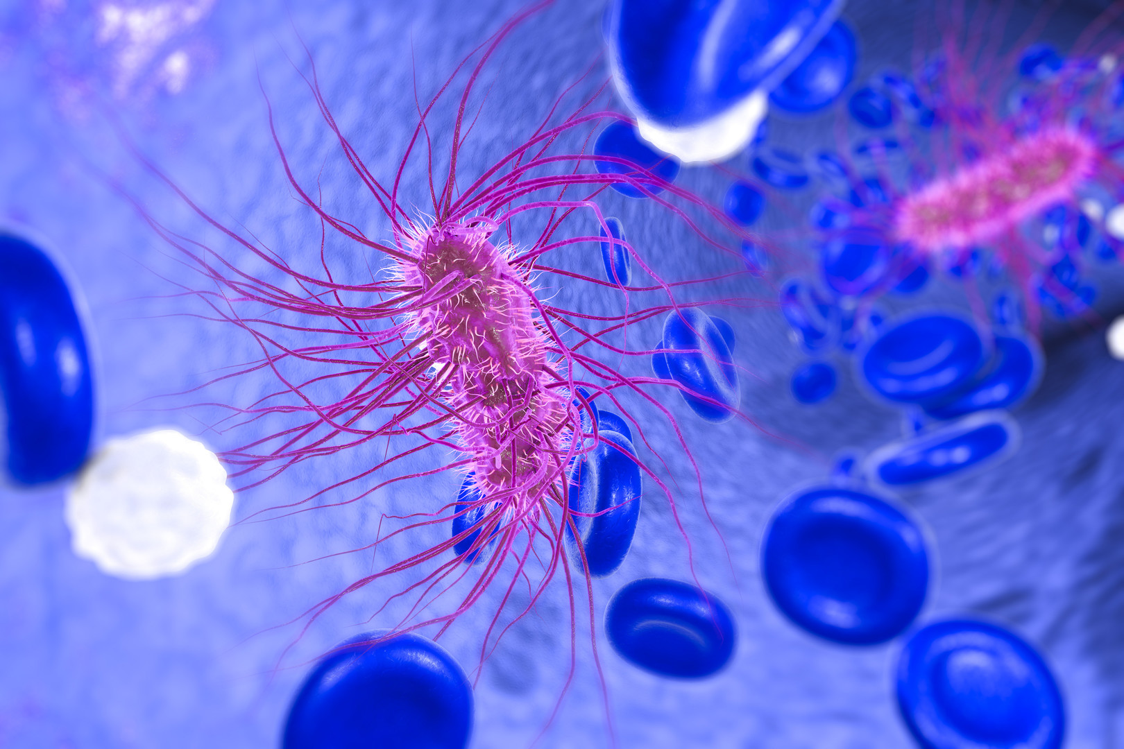 Recombinant Factor C assay kits for animal-free endotoxin detection