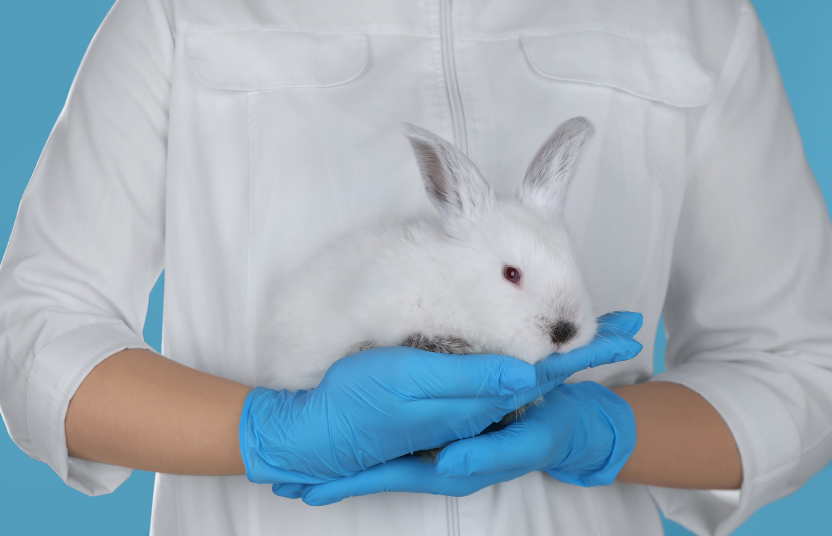 Pyrogen Testing Services