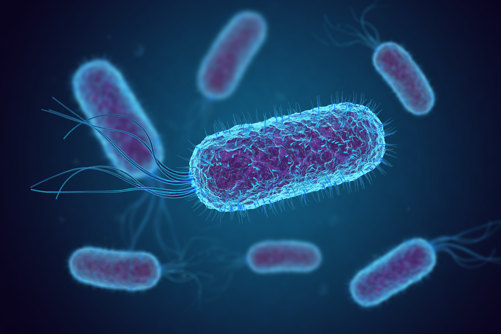 Custom endotoxin kit development for complex matrices including blood and biologics