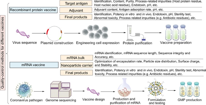Quality control for vaccine development (OA Literature)