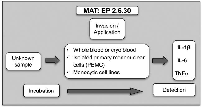 The principle of Monocyte Activation Test (OA Literature)