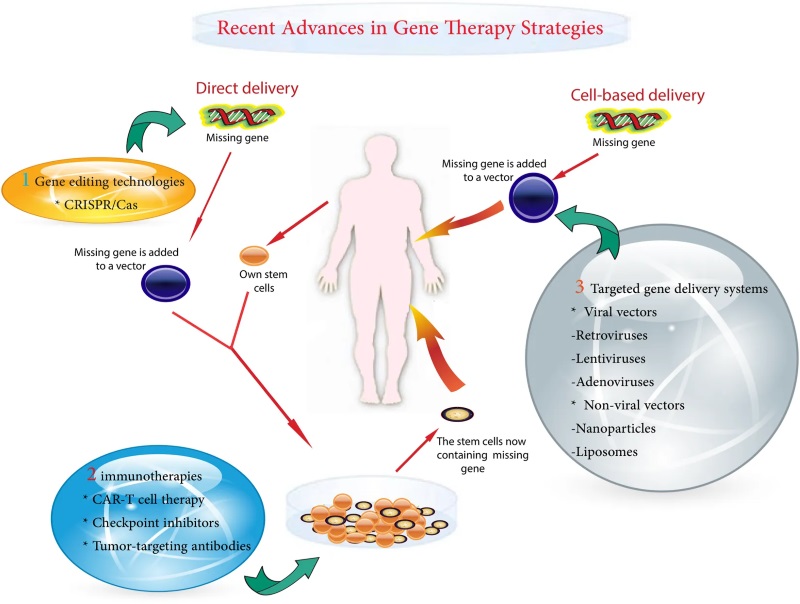 The gene therapy strategies and Products (OA Literature)