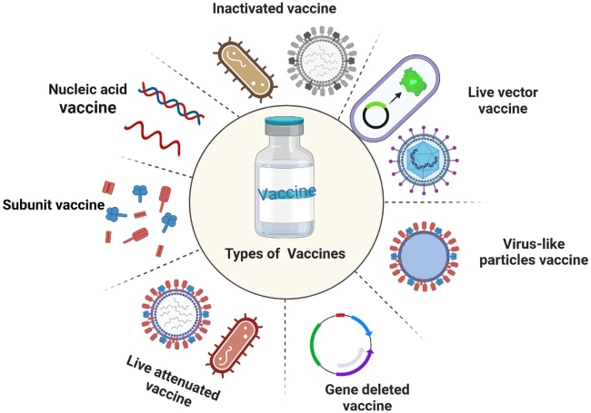 The types of vaccines (OA Literature)