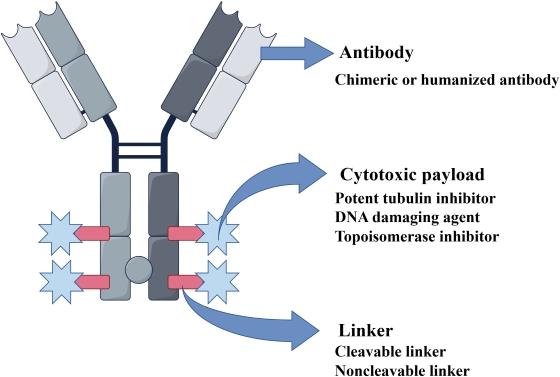 The Structure of an antibody–drug conjugate (OA Literature)