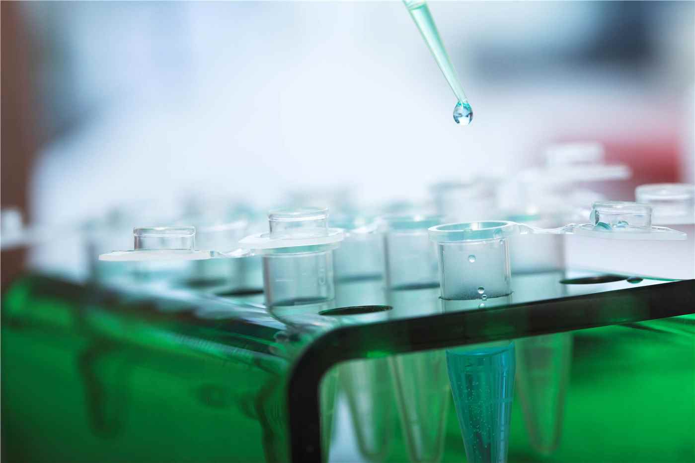 Endotoxin Detection (Creative Biolabs Authorized)