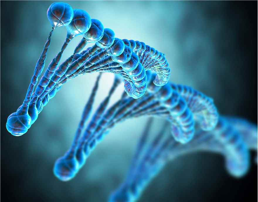 Interfering Factors (Creative Biolabs Authorized)