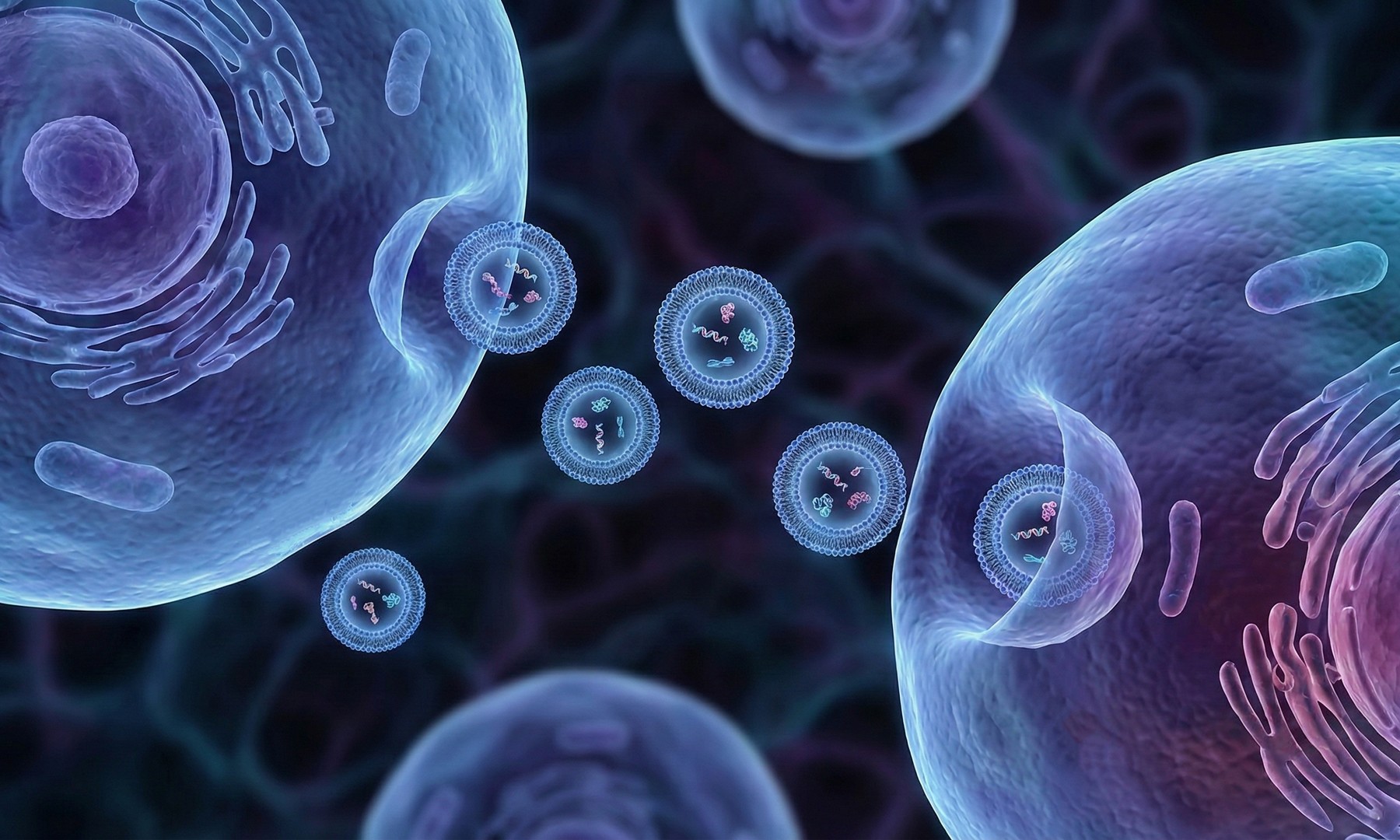 Fig.1 Exosomes released by cells participate in communication. (Creative Biolabs AI)