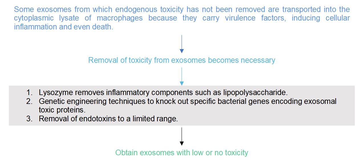 Exosome Endotoxicity Removal