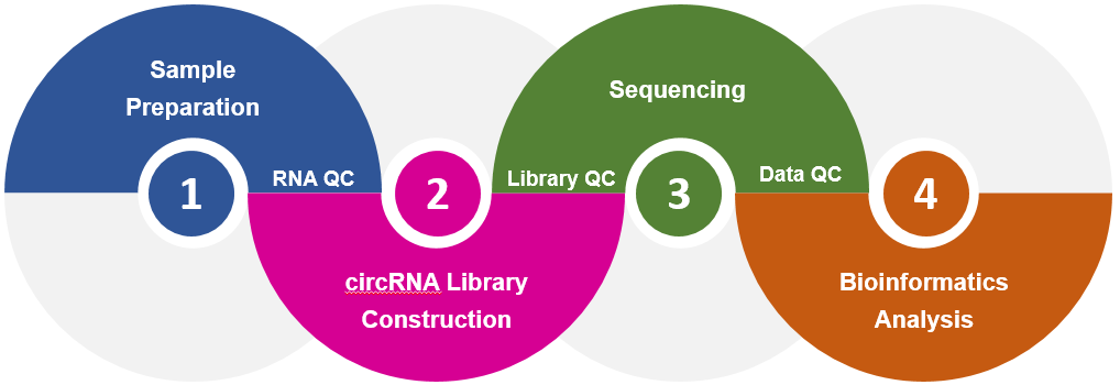 Exosomal circRNA Sequencing