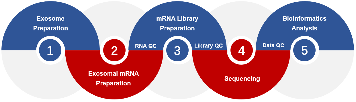 Exosomal mRNA sequencing service.