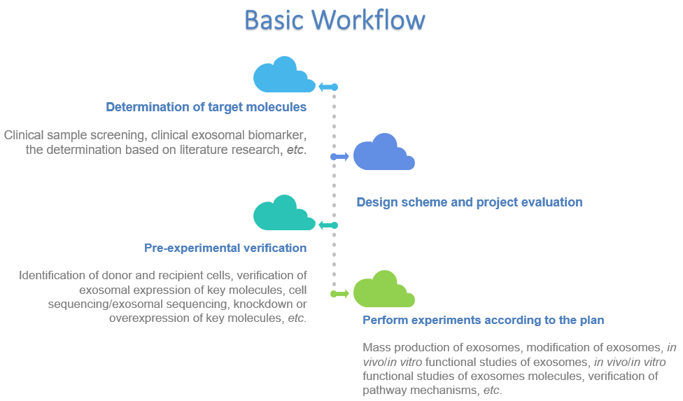 Fig.1 Workflow for Exosome In Vitro Functional Research Services. (Creative Biolabs Original)