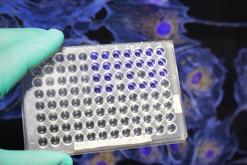 (http://47.109.42.40:8006/images/20180711043157_7651.jpg)