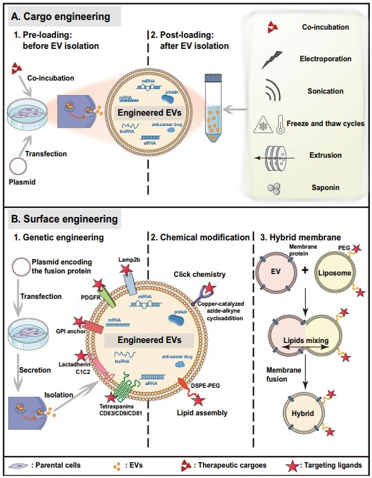 Summary of EV transformation technology. (Weng, et al., 2021)