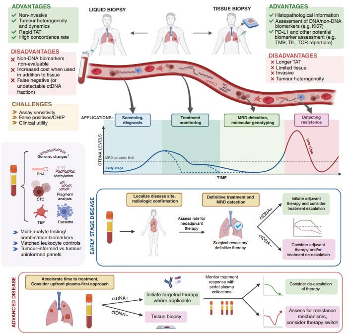ctDNA in cancer. (García-Pardo, et al., 2022)