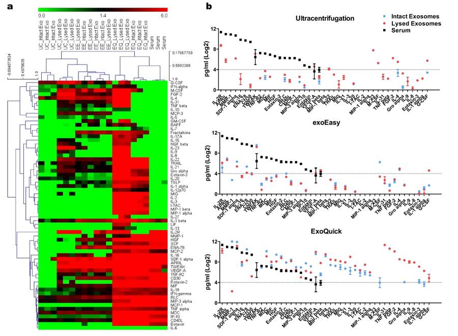 Comparison of cytokine expression in exosomes. (Jung, et al., 2020)