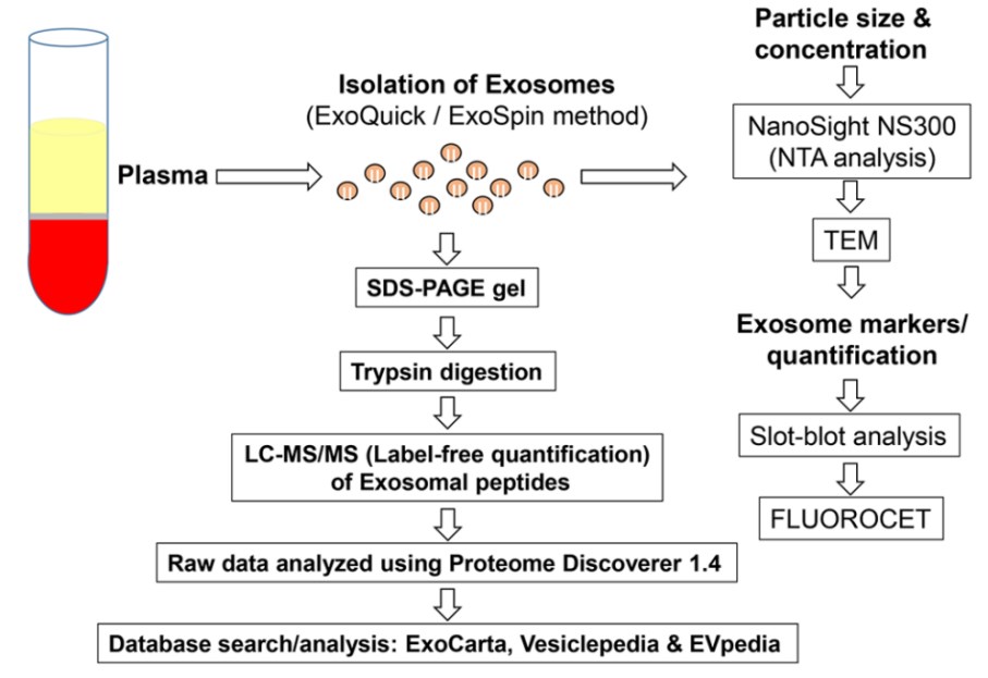 Schematic for isolation, characterization, and proteomic profiling of plasma-derived exosomes. 