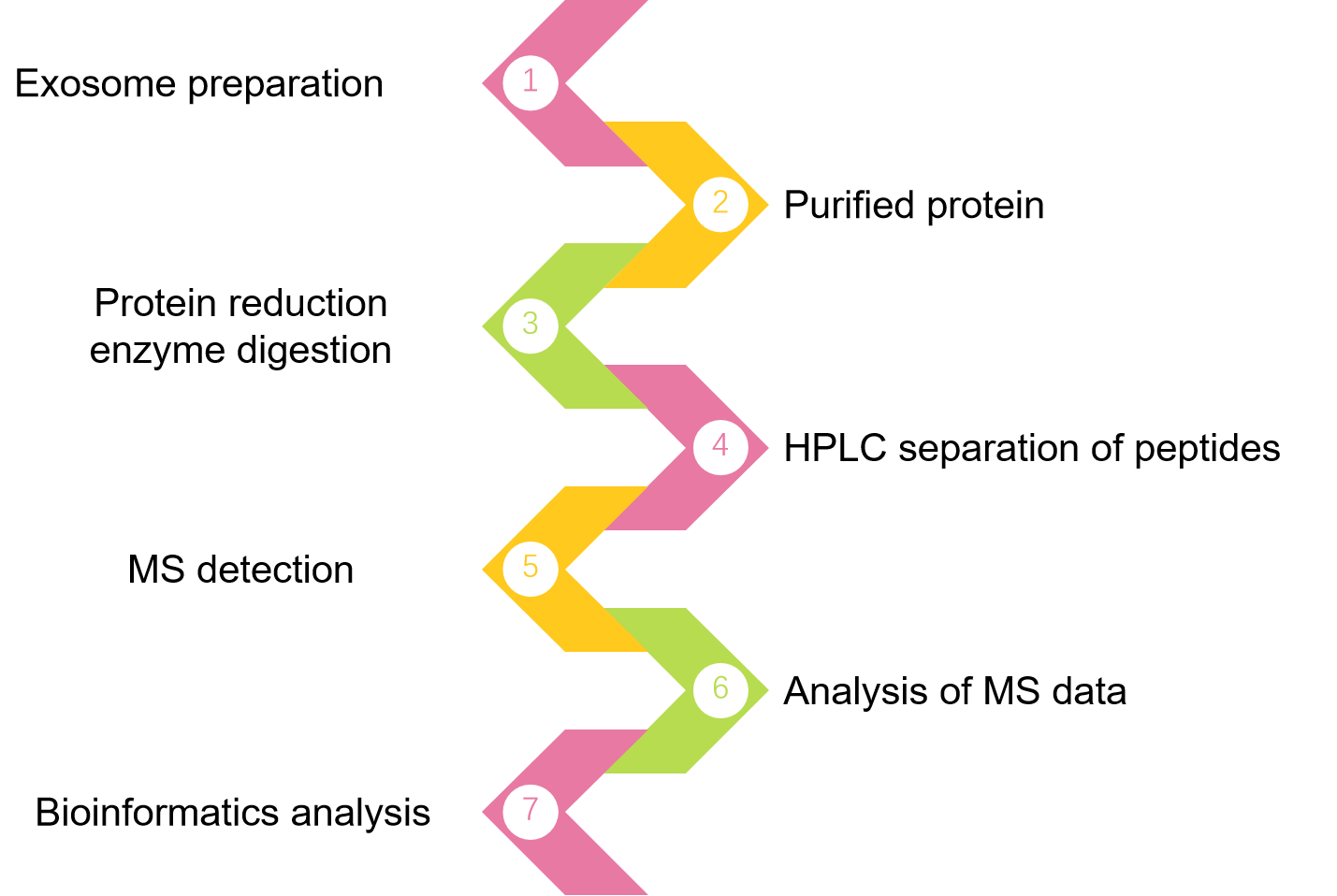 Fig. 2 MRM/PRM analysis procedure. (Creative Biolabs Original)