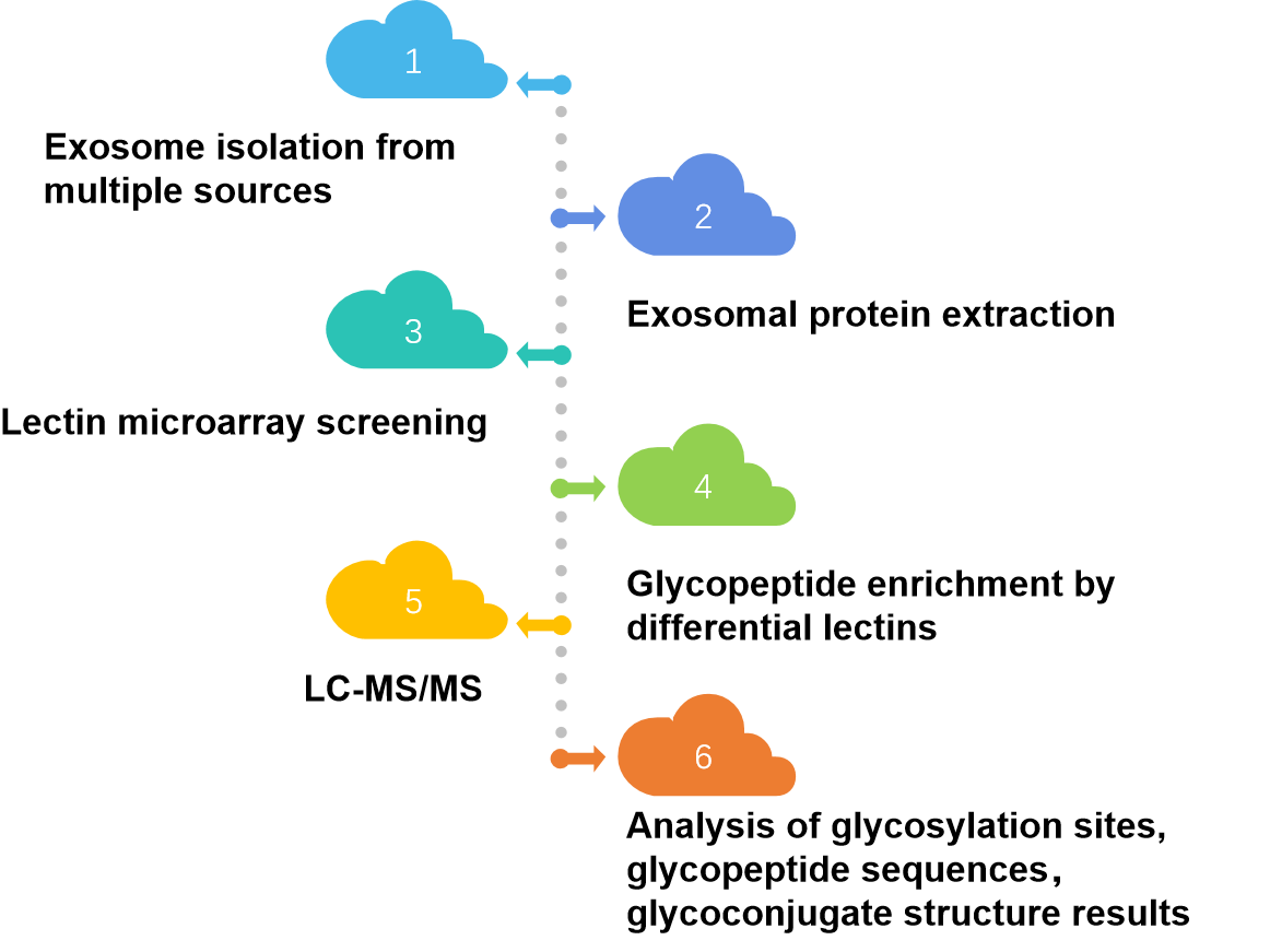Fig. 2 Detection Process. (Creative Biolabs Original)