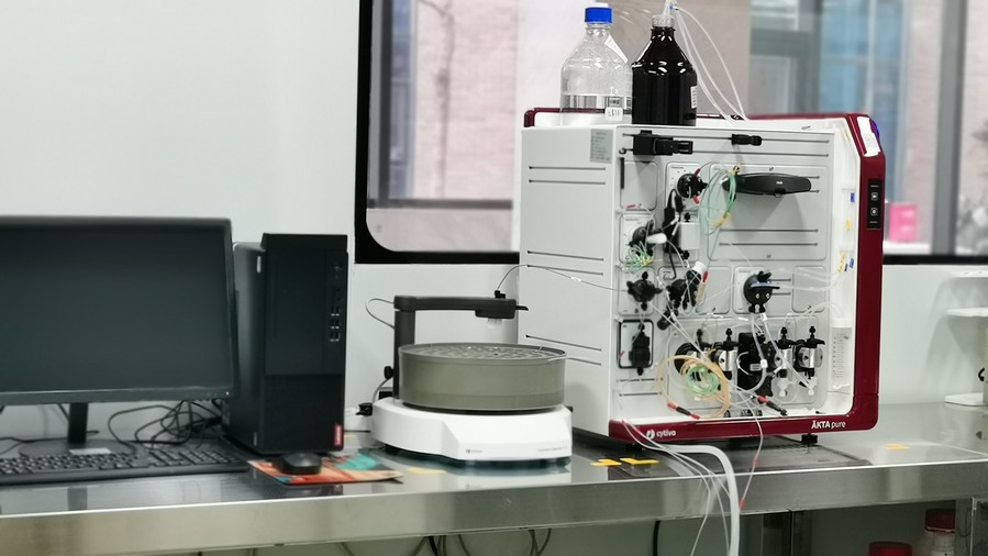 Chromatography for protein purification. (Creative Biolabs Original)