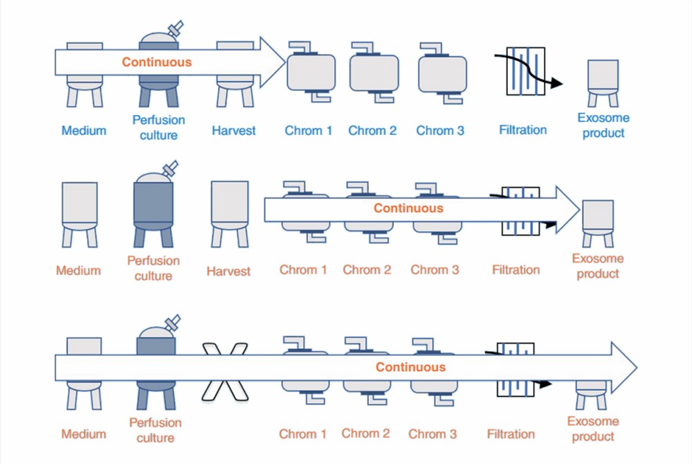 Diagram of Upstream cell line production methods.