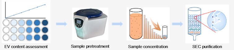 Diagram of Exosome isolation of large sample size